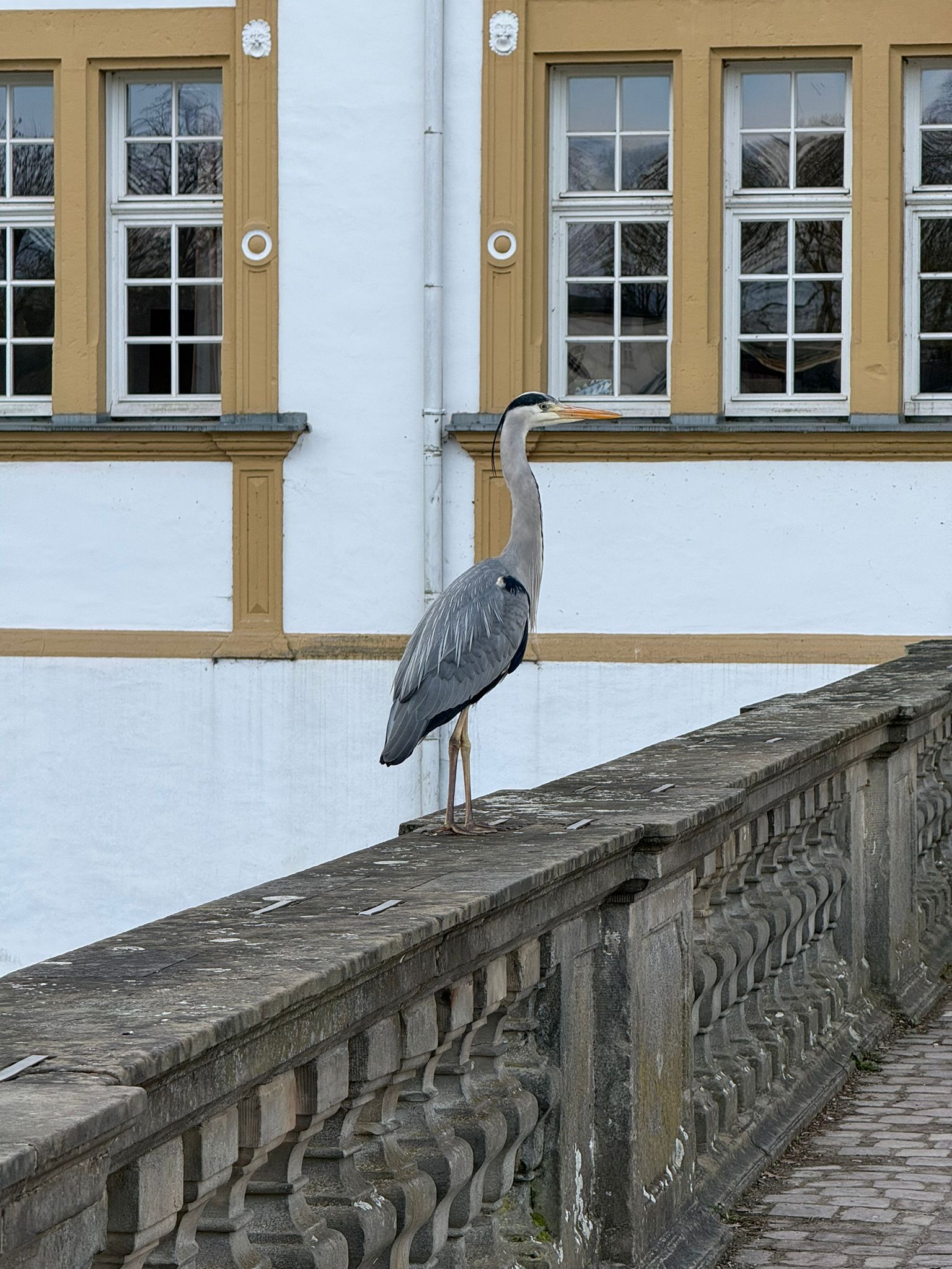 Ein besonderer Gast an unserer Realschule